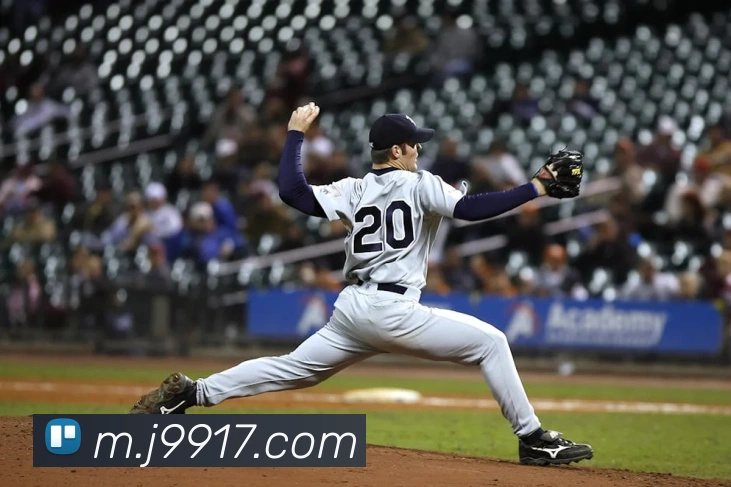 企业概况